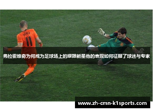 弗拉霍维奇为何成为足球场上的耀眼新星他的表现如何征服了球迷与专家 弗拉霍维奇为何成为足球场上的耀眼新星他的表现如何征服了球迷与专家