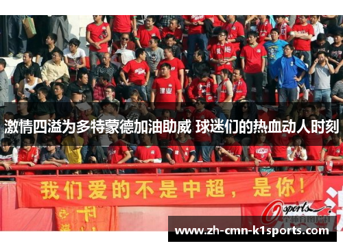 激情四溢为多特蒙德加油助威 球迷们的热血动人时刻 激情四溢为多特蒙德加油助威 球迷们的热血动人时刻